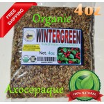 Axocopaque  : Gaultheria procumbens, Wintergreen herbs
